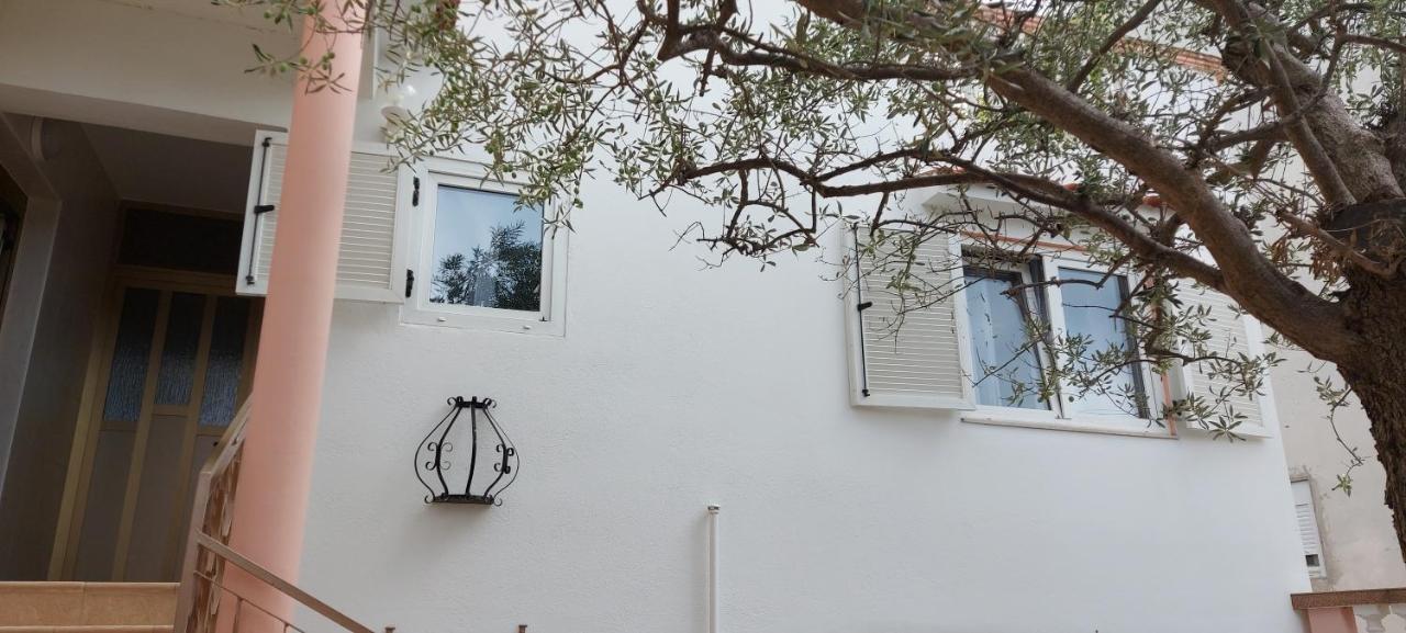 Olive Tree Apartamento Zadar Exterior foto